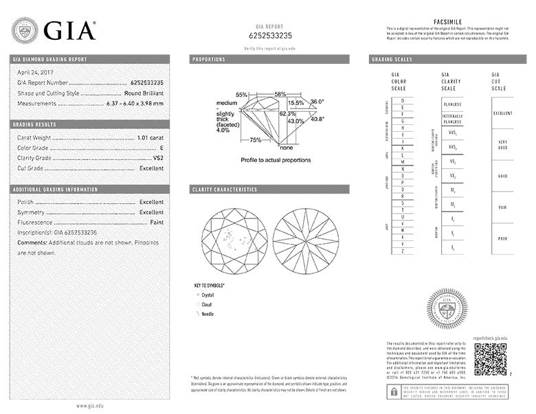 RBC 1251 Round Brilliant Cut Diamond 1.01ct E VS2 GIA 